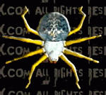 Graphic Social Horror